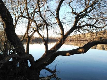 Laguna del Campillo, en el Parque Regional del Sureste (Rivas Vaciamadrid, Madrid).