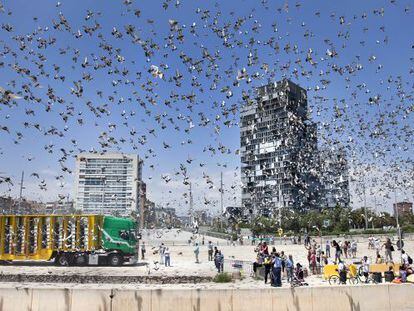 Suelta de palomas m&aacute;s importante del mundo en la playa Nova Marbella de Barcelona.