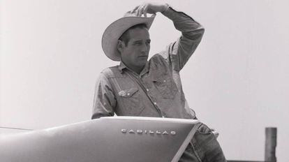 Paul Newman, en el rodaje de 'Hud' en Texas en 1963.