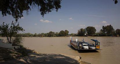 Imagen del r&iacute;o Guadalquivir a su paso por Coria del R&iacute;o (Sevilla).