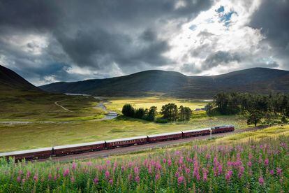 El tren Royal Scotsman nos sumerge en el corazón de las Highlands escocesas.