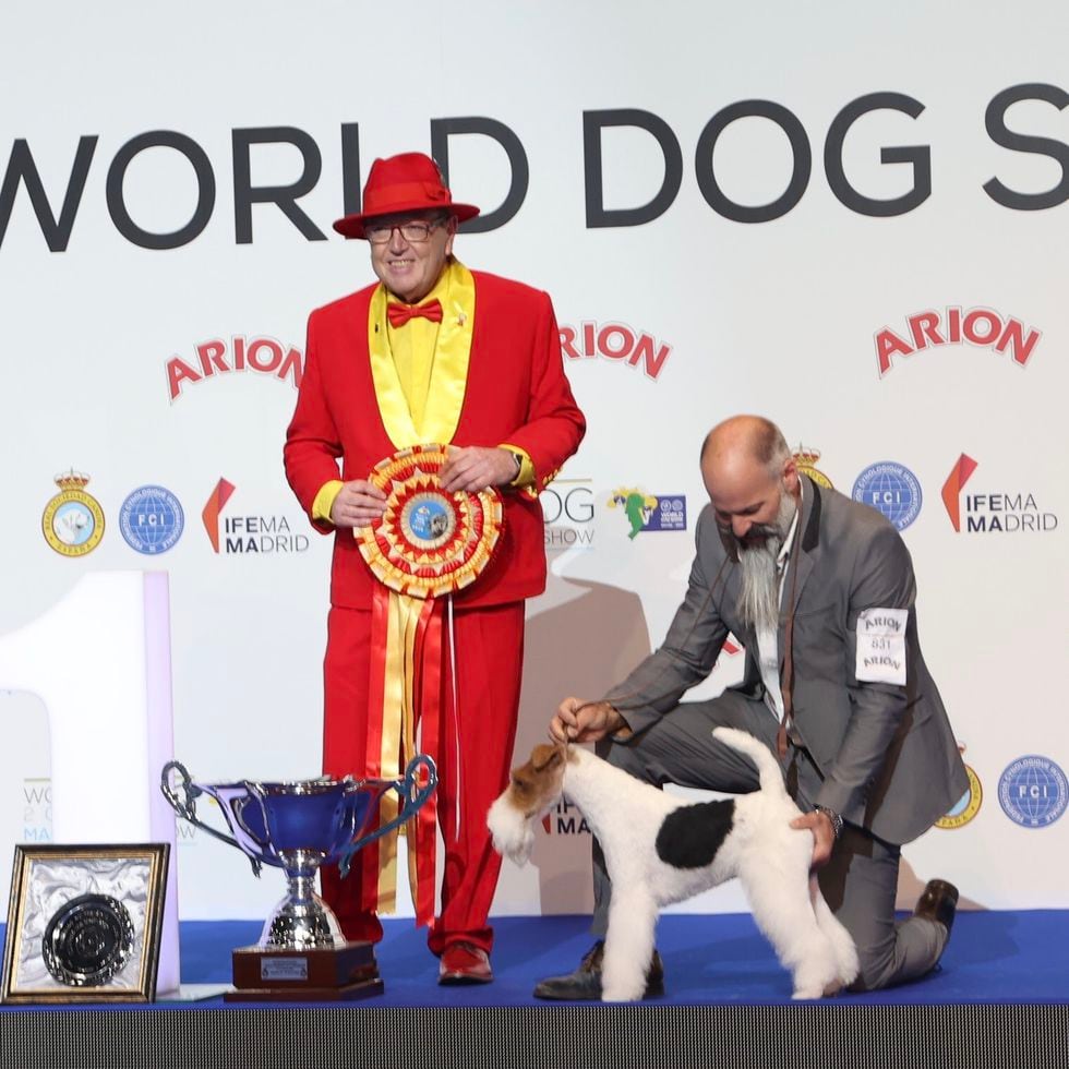 World Dog Show: El mejor perro del mundo un fox terrier llamado 'Funfair Foxhouse' se ha coronado en Madrid | de vida | EL PAÍS