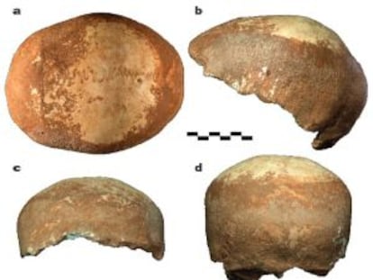 El cráneo humano de hace 55.000 años hallado en la cueva de Manot (Israel)