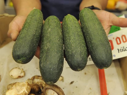 Pepinos en un puesto de verduras de un mercado de Madrid.