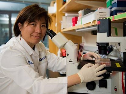 Katherine Wu, investigadora del Instituto de C&aacute;ncer Dana-Farber, en Boston (EE UU).