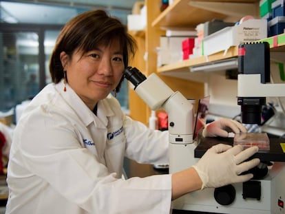 Katherine Wu, investigadora del Instituto de C&aacute;ncer Dana-Farber, en Boston (EE UU).