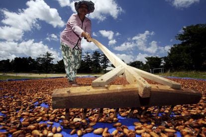 Una mujer seca granos de cacao en una plantación en Indonesia