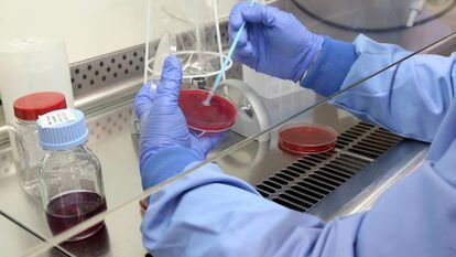 Farmaindustria reconoce un choque con “líderes de asociaciones científicas” por los pagos a médicos
