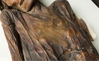 Detalle del pecho de la momia del Erques, donde hay un parche de gran tamaño adherido a la momia.