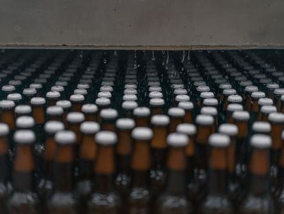 Botellas en una línea de producción de cerveza, en Zapopan (Estado de Jalisco).