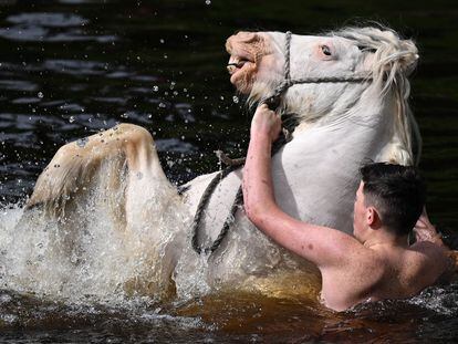 Un hombre lava a un caballo en el río el primer día de la feria anual del caballo que se celebra este jueves en la ciudad de Appleby (Inglaterra).