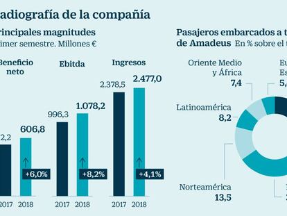 Un año de altos vuelos para Amadeus