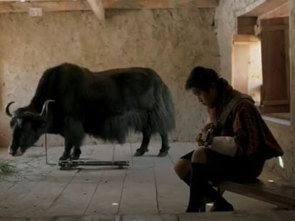 Sherab Dorji, en una imagen de ‘Lunana, un yak en la escuela’.