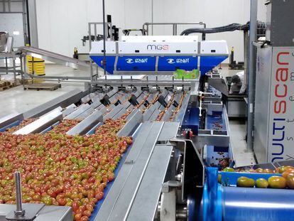 Máquinas que emplea la empresa Multiscan Technologies para el control de productos agroalimentarios como la nuez o el tomate.