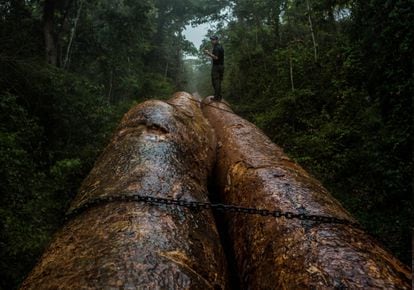 Las Piedras, Madre de Dios, Perú