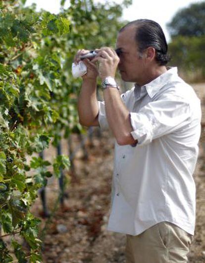 Fernando Benito en una de las fincas de sus bodegas familiares