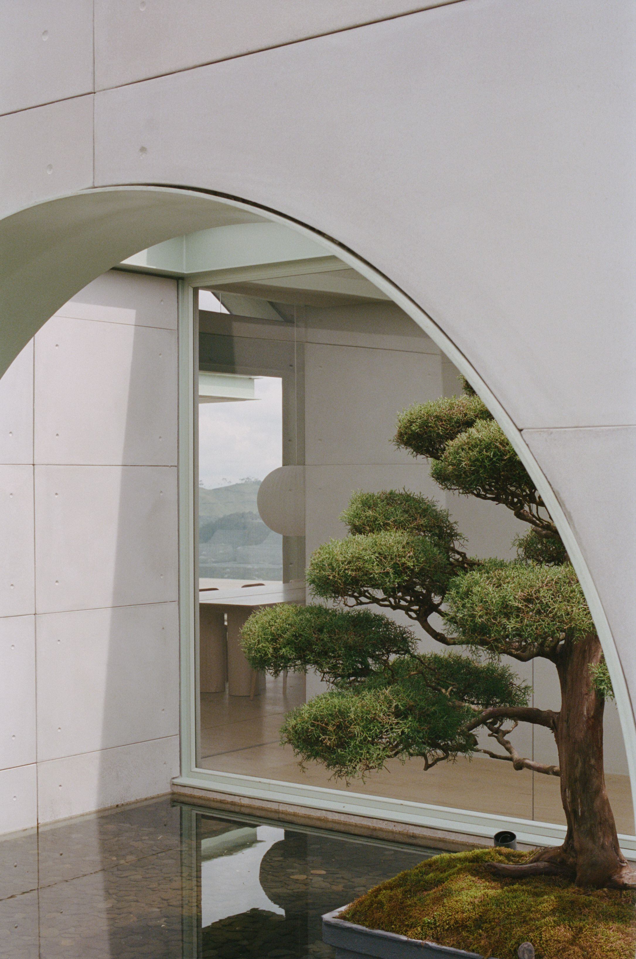 El paisajismo de la casa se ha inspirado en los jardines japoneses.