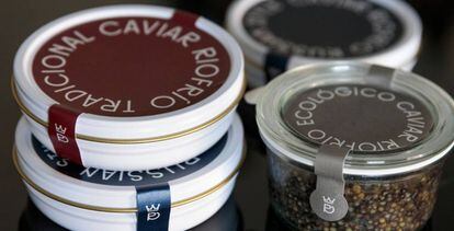 Riofrío recupera el caviar más caro del mundo
