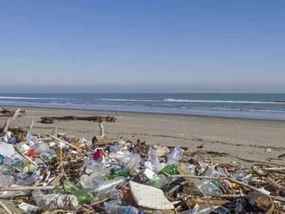 Basura en una playa del Adriático. 