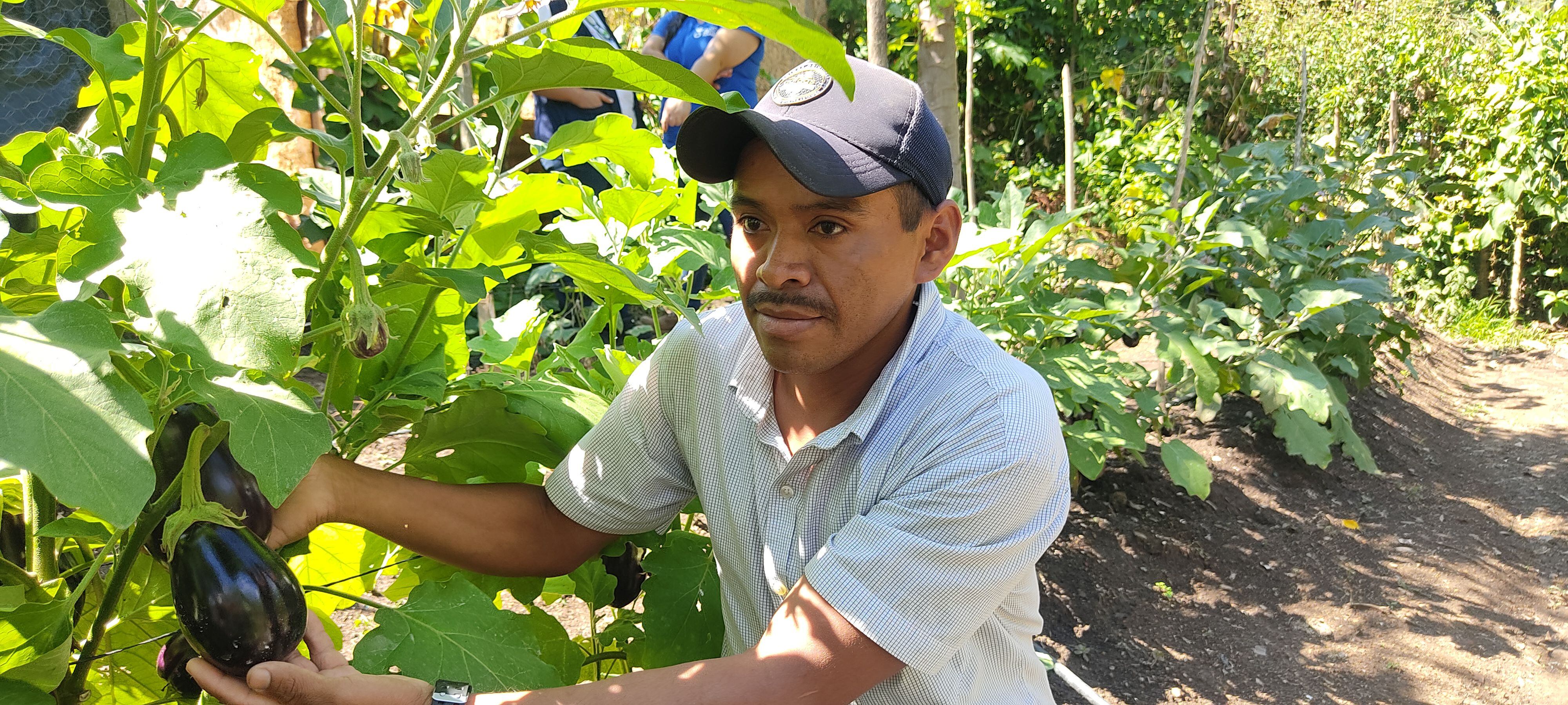 Víctor Vicente García es uno de los promotores de los Centros de Aprendizaje para el Desarrollo Rural de la aldea Talquezal Centro de Jocotán, donde enseña a 17 familias alternativas de cultivos para afrontar el cambio climático.