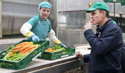 Pedro Sánchez en su visita a la cooperativa agrícola Frusana en Sanlúcar de Barrameda, Cádiz, este martes.