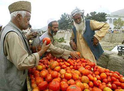 Clientes afganos compran tomates en un mercado al aire libre en el centro de Kabul.