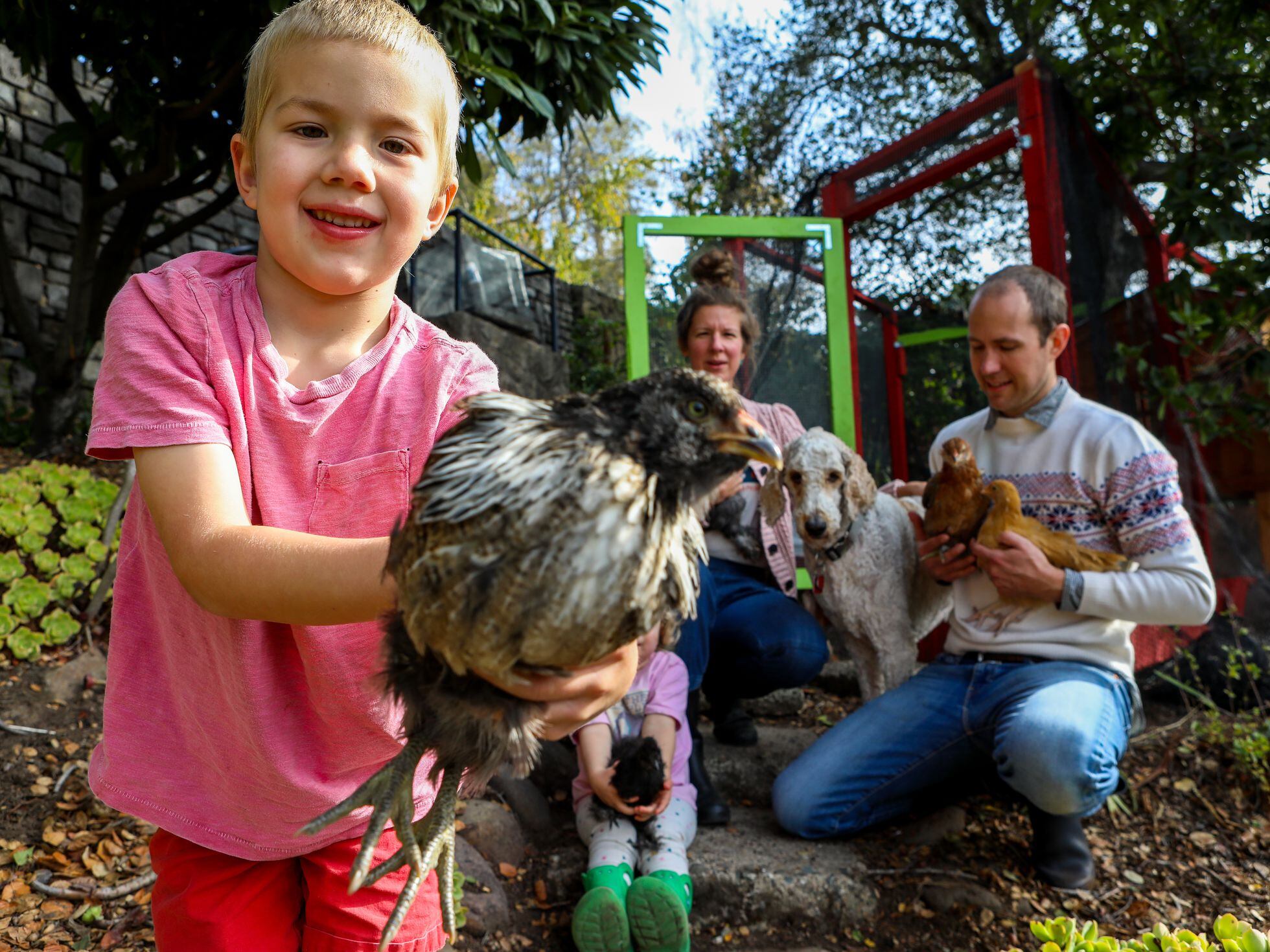 Gallinero Infantil Para Exterior: Capacidad 5 Gallinas