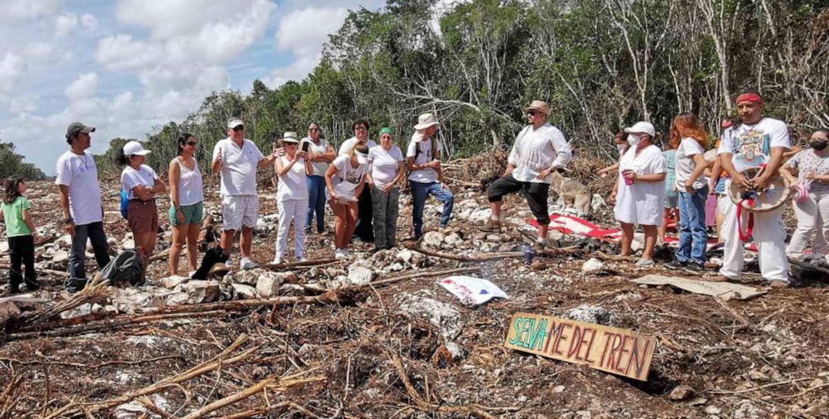 La comisión ambiental del TMEC pide abrir un ‘expediente’ sobre el impacto del Tren Maya