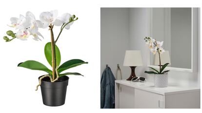 4 Plantas artificiales de IKEA duraderas para decorar tu casa