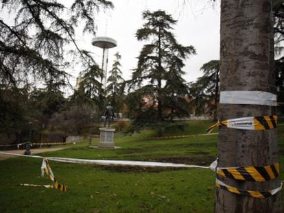 Árboles señalados para su apeo en el parque del Oeste