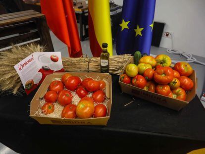 Presentación de las variedades de tomates de la Comunidad de Madrid, Moruno, Gordo y Antiguo, en el Centro de Innovación Gastronómica.