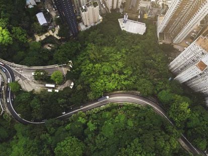 Vista aérea de una carretera entre un bosque y unos rascacielos de Hong Kong.