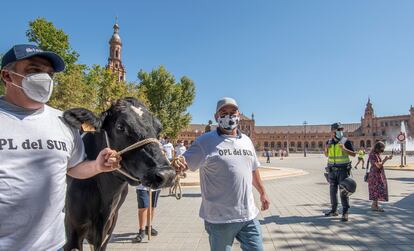 Protestas de ganaderos en Sevilla el pasado 13 de julio por los bajos precios de la leche.