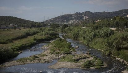 Tramo del curso inferior del río Besòs, en Santa Coloma de Gramenet, donde se planea realizar el proyecto de renaturalización