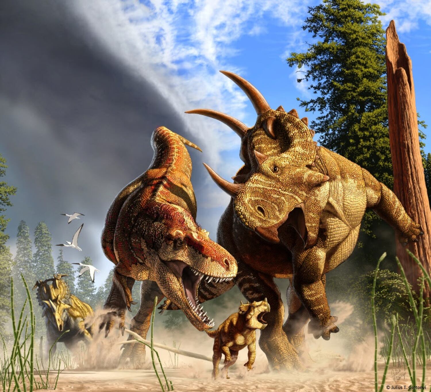 Recreación de un episodio de caza del 'Tyrannosaurus rex'.