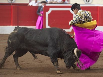 El novillero Jes&uacute;s Enrique Colombo lidia en la Feria de Santiago, en la plaza de toros de Santander. 