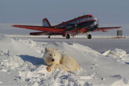 El avión científico 'Polar' 5 en el Ártico.