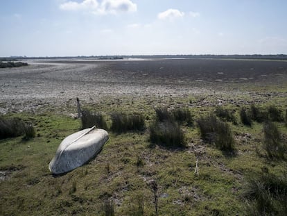 Estado de la laguna de Santa Olalla en el Parque Nacional de Doñana en Almonte (Huelva).