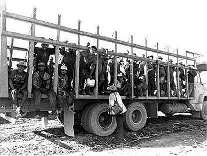 Un camión destinado al ganado transporta a trabajadores hacia una hacienda del noreste de Brasil.