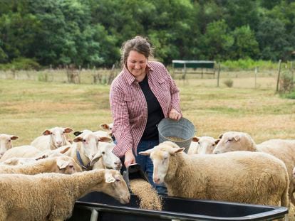 Una mujer dando de comer a unas ovejas en el campo.