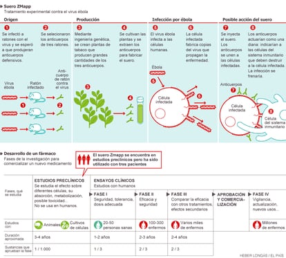 Fuentes: EMEA y elaboración propia.