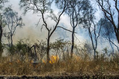 El fuego no da tregua a la isla, mientras que el centro y sur de Italia están en alerta ante la ola de calor que se prevé esta semana. El presidente de la región de Sicilia, Nello Musumeci, ha asegurado que el estado de crisis durará seis meses.
