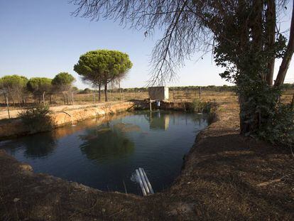 Una balsa ilegal de agua entre los municipios de Lucena del Puerto y Moguer, en el entorno de Doñana.