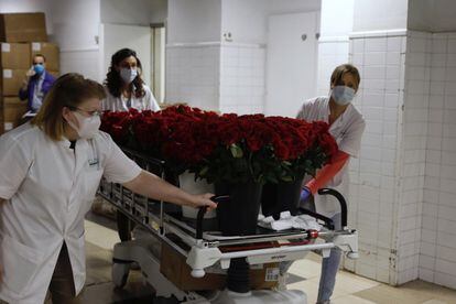 L'Hospital Clínic reparteix avui 5.000 roses a pacients i treballadors.