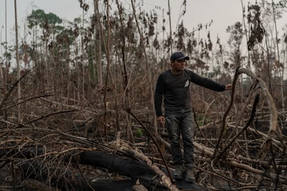 Eric Karipuna, de 24 años, observa una zona devastada dentro de la tierra indígena karipuna, en Porto Velho.
