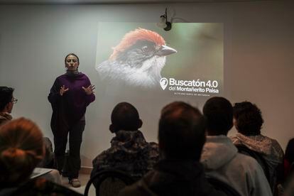 Ángelica Díaz hace una presentación a los participantes de la buscatón. Al día de hoy se estima una población de 108 individuos de esta ave. 