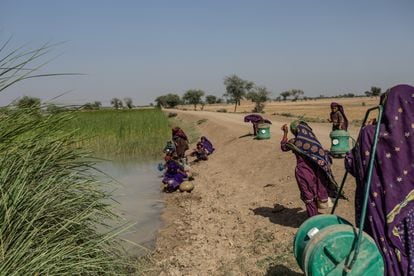 Las históricas inundaciones dañaron la mayor parte de los sistemas de agua en las áreas afectadas, lo que obligó a más de 5,4 millones de personas a depender únicamente del agua contaminada de estanques y pozos. Incluso antes de la temporada de monzones del año pasado, solo un poco más de un tercio del agua en Pakistán se consideraba segura para el consumo. Las mujeres y las niñas de la aldea de Muhammad Pur Ghamand, en el sur de Punjab, deben ir a buscar agua contaminada de un estanque todos los días después de que las inundaciones dañaran el sistema de suministro de agua de su aldea.