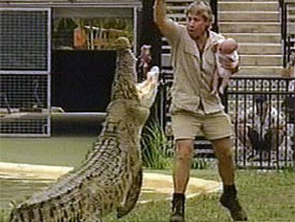 Un cazador de cocodrilos da de comer a uno de ellos con su bebe en brazos