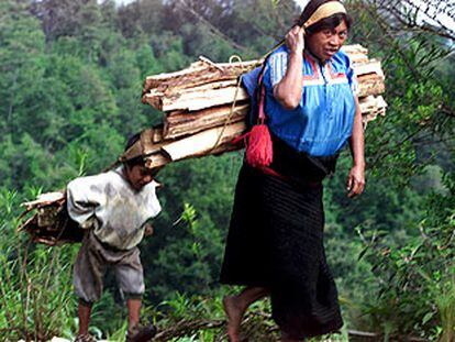Una mujer maya transporta leña junto a su hijo en San Juan de Chamula (Estado mexicano de Chiapas).
