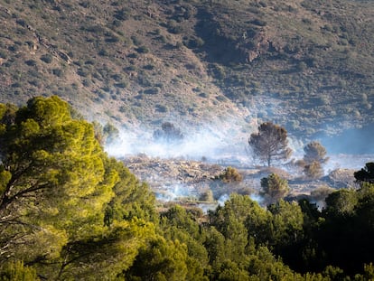 Incendio forestal en el Cap de Creus, el pasado febrero.